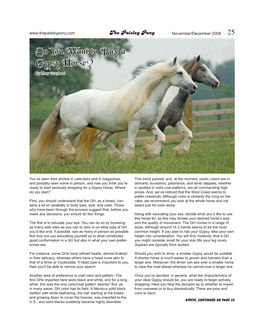So You Want to Buy a Gypsy Horse? by Mary Graybeal