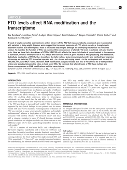 FTO Levels Affect RNA Modification and the Transcriptome