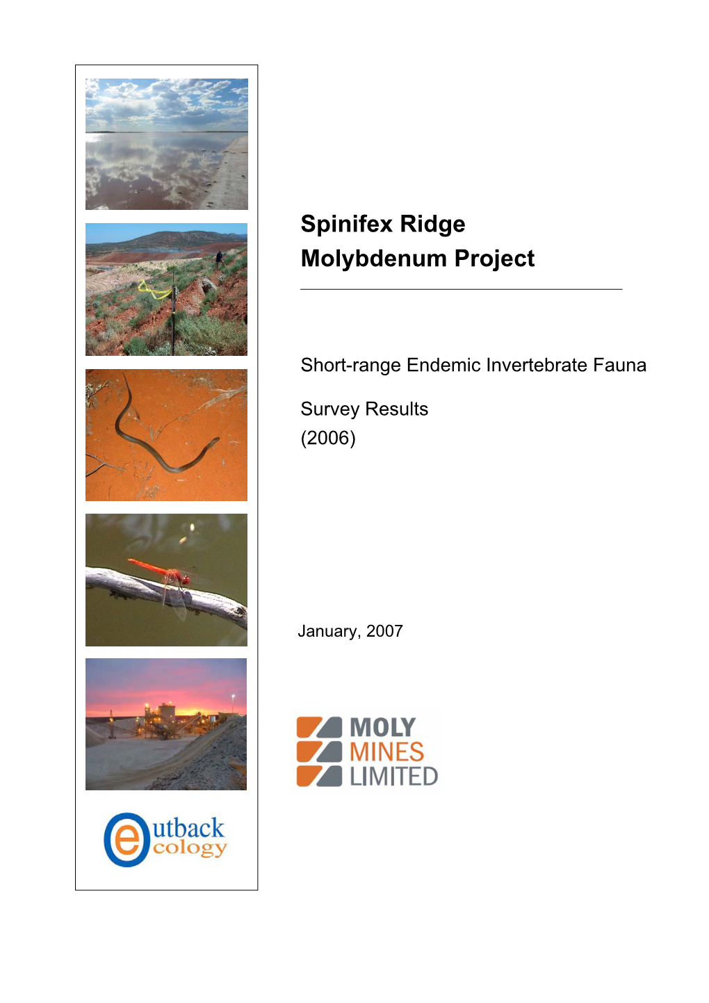 Spinifex Ridge Molybdenum Project