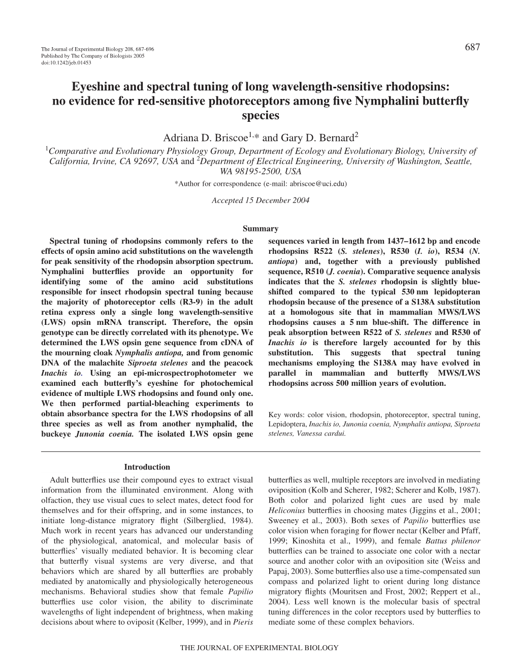 Eyeshine and Spectral Tuning of Long Wavelength-Sensitive Rhodopsins: No Evidence for Red-Sensitive Photoreceptors Among ﬁve Nymphalini Butterﬂy Species Adriana D