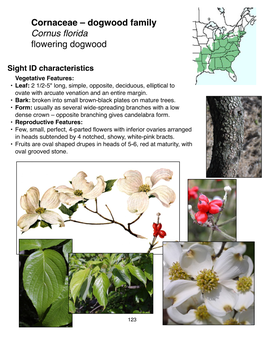 Cornaceae – Dogwood Family Cornus Florida Flowering Dogwood