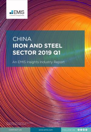 China Iron and Steel Sector 2019 Q1