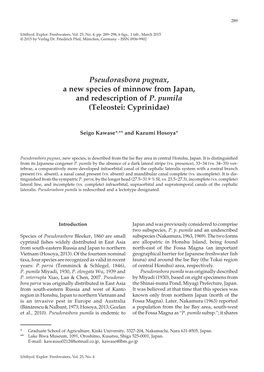 Pseudorasbora Pugnax, a New Species of Minnow from Japan, and Redescription of P