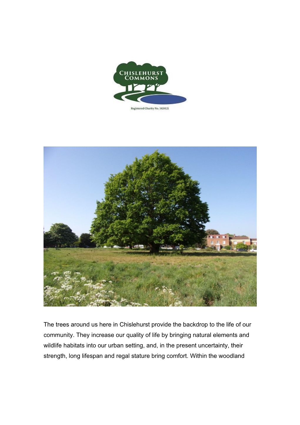 Chislehurst Commons – Terrific Trees 18/05/2020