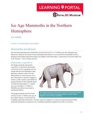 Ice Age Mammoths in the Northern Hemisphere