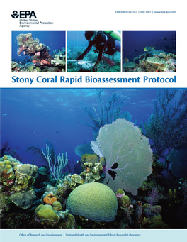 3.1 Stony Coral Census