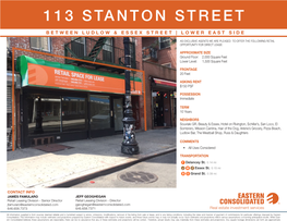 113 Stanton Street