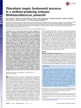 Thioredoxin Targets Fundamental Processes in a Methane-Producing Archaeon, Methanocaldococcus Jannaschii