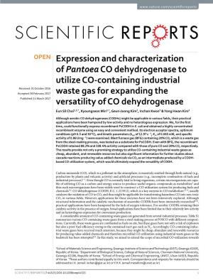 Expression and Characterization of Pantoea CO Dehydrogenase To