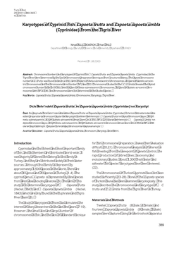 Karyotypes of Cyprinid Fish Capoeta Trutta and Capoeta Capoeta Umbla