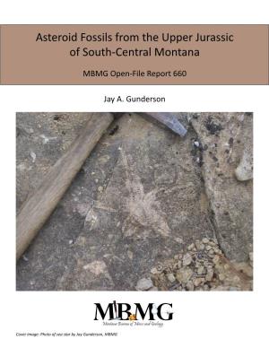 Asteroid Fossils from the Upper Jurassic of South-Central Montana