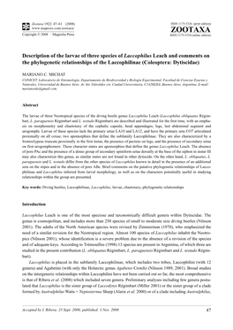 Zootaxa, Description of the Larvae of Three Species of Laccophilus Leach and Comments on the Phylogenetic Relationships of the L