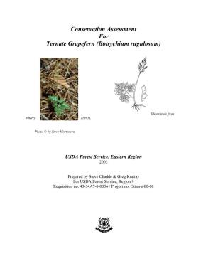 Conservation Assessment for Ternate Grapefern (Botrychium Rugulosum)