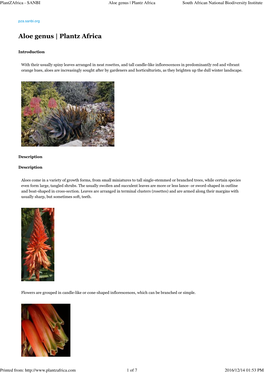 Aloe Genus | Plantz Africa South African National Biodiversity Institute