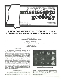 Mississippi Geology 2 Company American Quasar Petroleum Conwooo Exploration