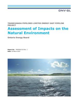 Assessment of Impacts on the Natural Environment Ontario Energy Board