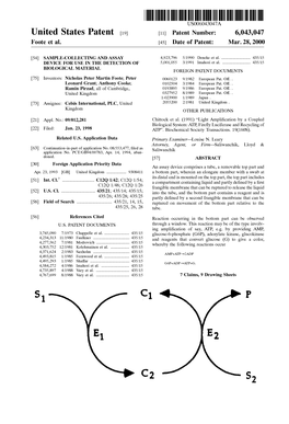 United States Patent (19) 11 Patent Number: 6,043,047 Foote Et Al