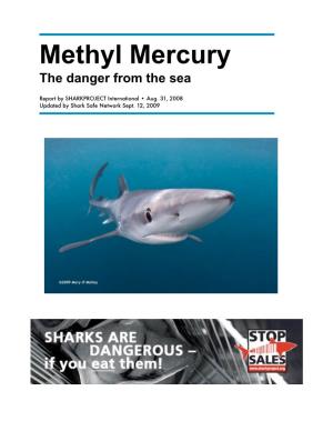 Mercury Info Sheet