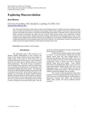 Exploring Macroevolution