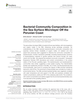 Bacterial Community Composition in the Sea Surface Microlayer Off the Peruvian Coast