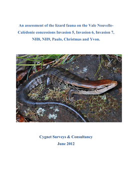 An Assessment of the Lizard Fauna on the Vale Nouvelle- Calédonie Concessions Invasion 5, Invasion 6, Invasion 7, NH8, NH9, Paulo, Christmas and Yvon