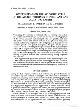 Observations on the Acidophil Cells of the Adenohypophysis in Pregnant and Lactating Rabbits