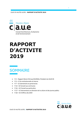 Rapport D'activite 2019