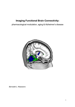 Imaging Functional Brain Connectivity