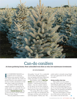 Can-Do Conifers As Home Gardening Booms, These Unheralded Trees Shine As Wise, Low-Maintenance Investments