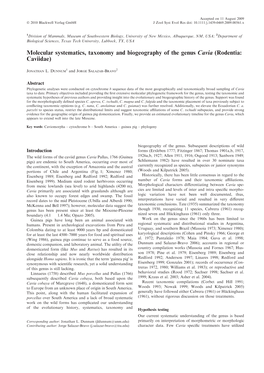 Molecular Systematics, Taxonomy and Biogeography of the Genus Cavia (Rodentia: Caviidae)