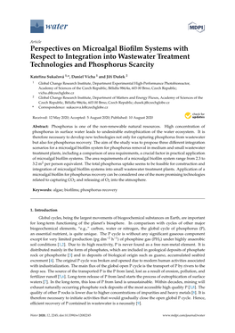 Perspectives on Microalgal Biofilm Systems with Respect to Integration Into Wastewater Treatment Technologies and Phosphorus