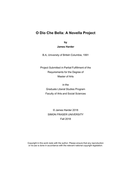 O Dio Che Bella: a Novella Project