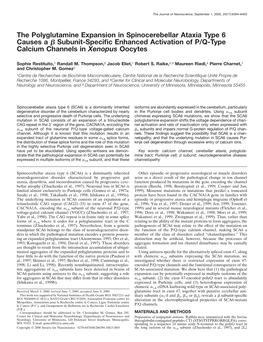 The Polyglutamine Expansion in Spinocerebellar Ataxia Type 6 Causes a ␤ Subunit-Speciﬁc Enhanced Activation of P/Q-Type Calcium Channels in Xenopus Oocytes