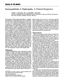 Immunoglobulin a Nephropathy: a Clinical Perspective