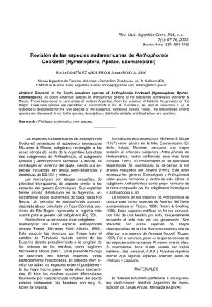 Revisión De Las Especies Sudamericanas De Anthophorula Cockerell (Hymenoptera, Apidae, Exomalopsini)