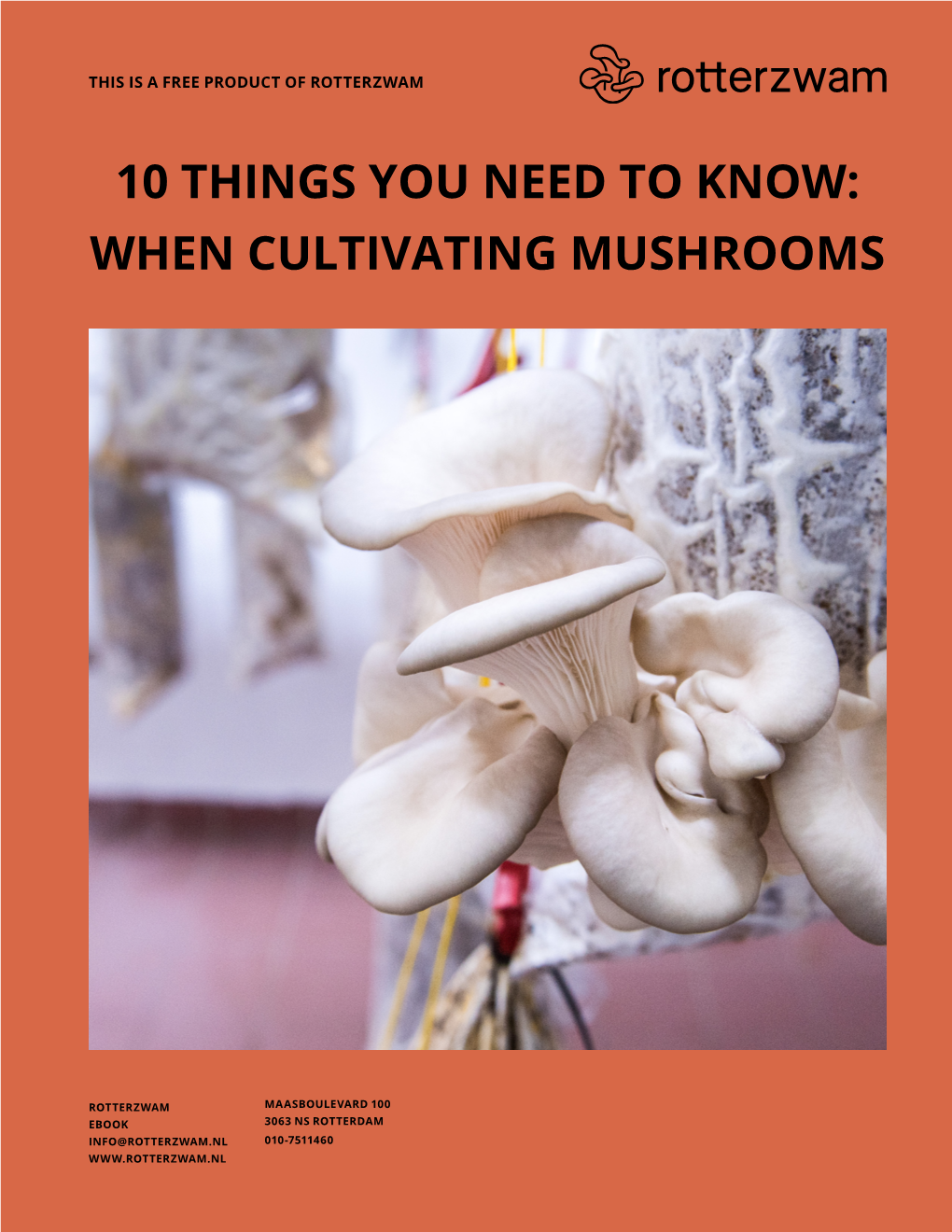 10 Things You Need to Know: When Cultivating Mushrooms