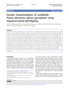 Genetic Characterization of Worldwide Prunus Domestica (Plum)