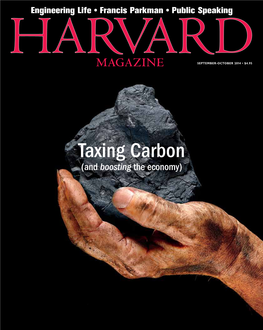 Taxing Carbon (And Boosting the Economy) We See More Than a Risk Tolerance