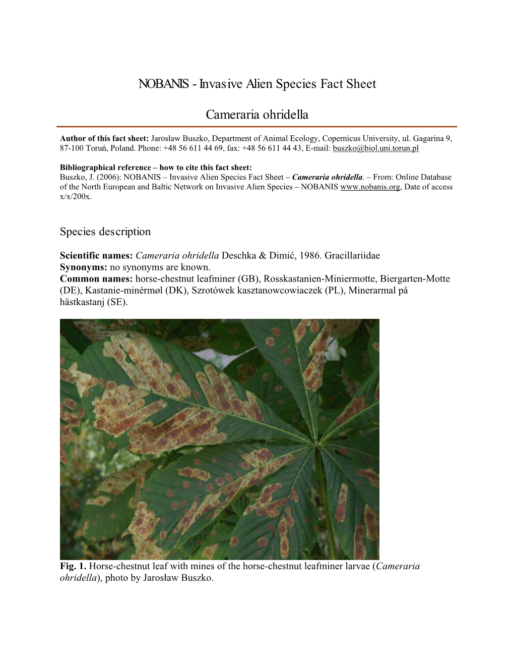 Invasive Alien Species Fact Sheet – Cameraria Ohridella