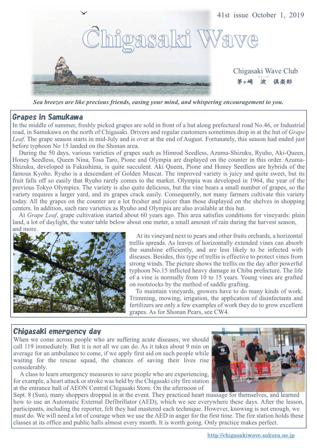 Chigasaki Wave Club 41St Issue October 1, 2019 Grapes In