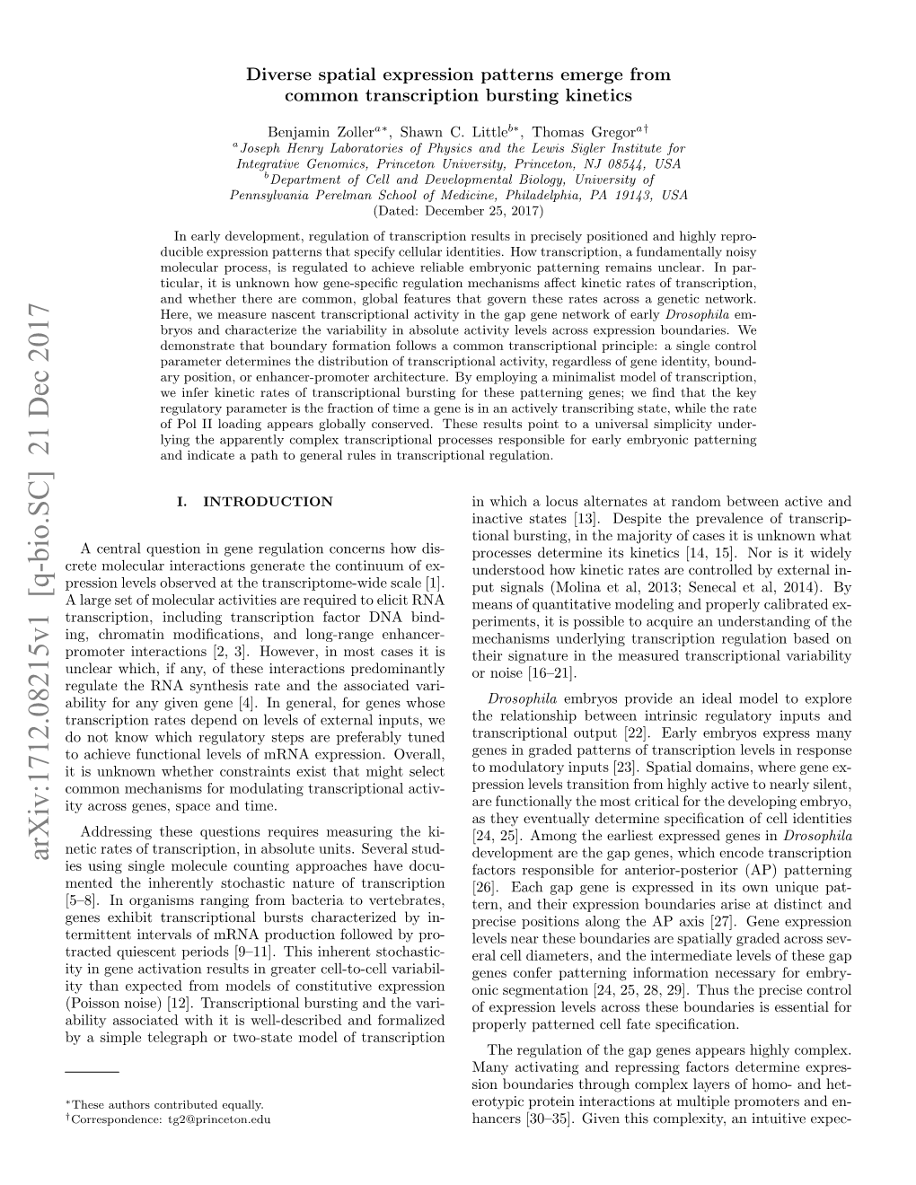 Diverse Spatial Expression Patterns Emerge from Common Transcription Bursting Kinetics