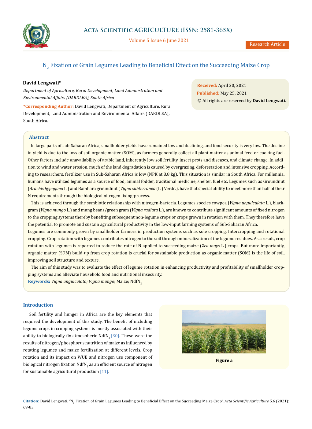 N2 Fixation of Grain Legumes Leading to Beneficial Effect on the Succeeding Maize Crop