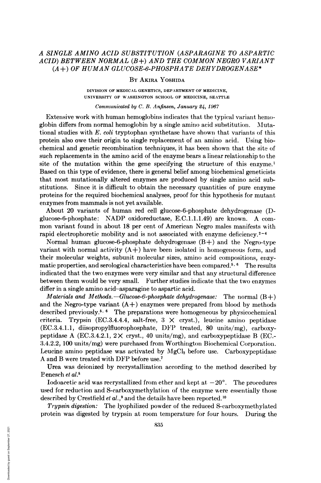 Differ in a Single Amino Acid-Asparagine to Aspartic Acid