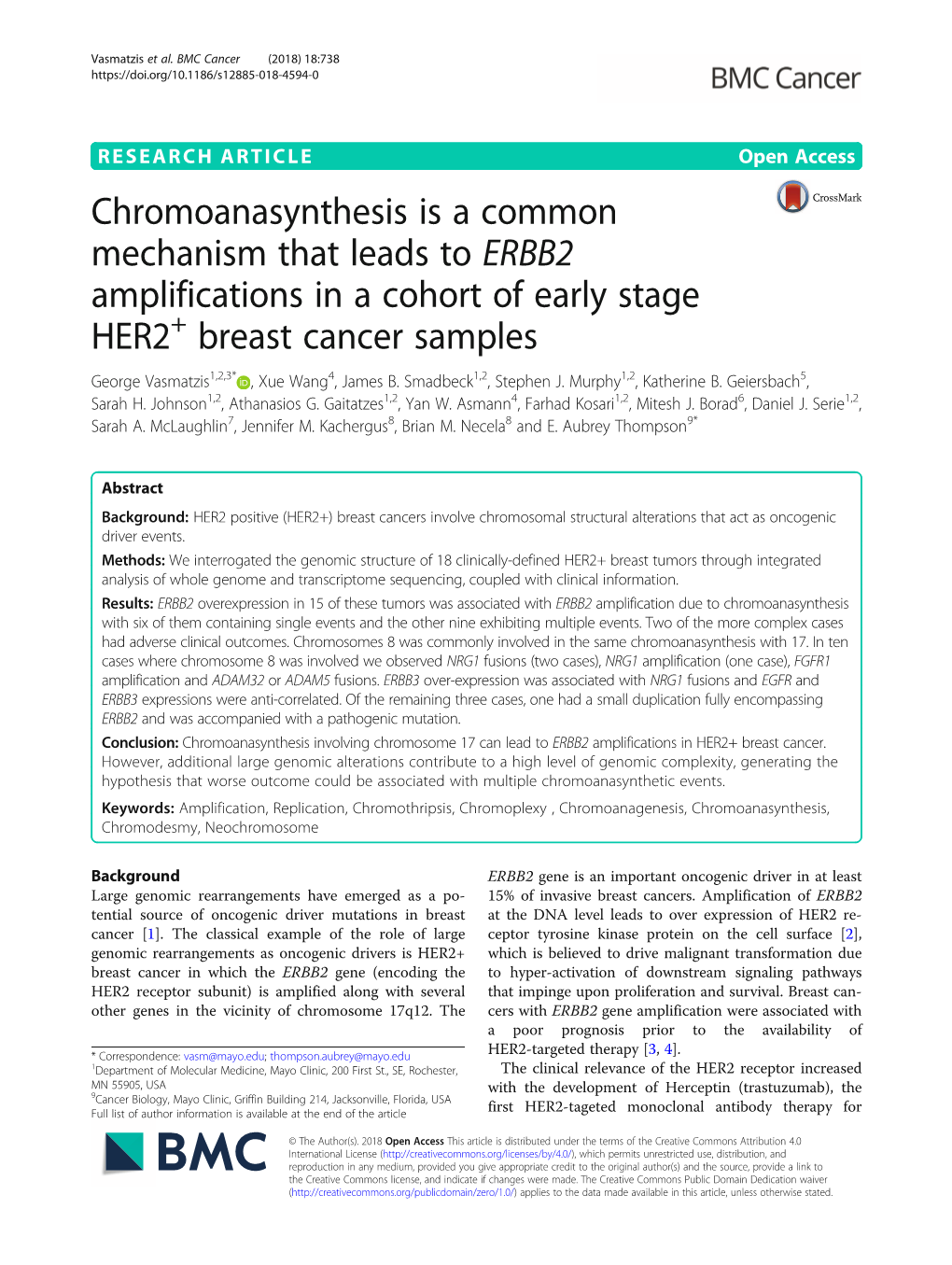 Chromoanasynthesis Is a Common Mechanism That Leads to ERBB2