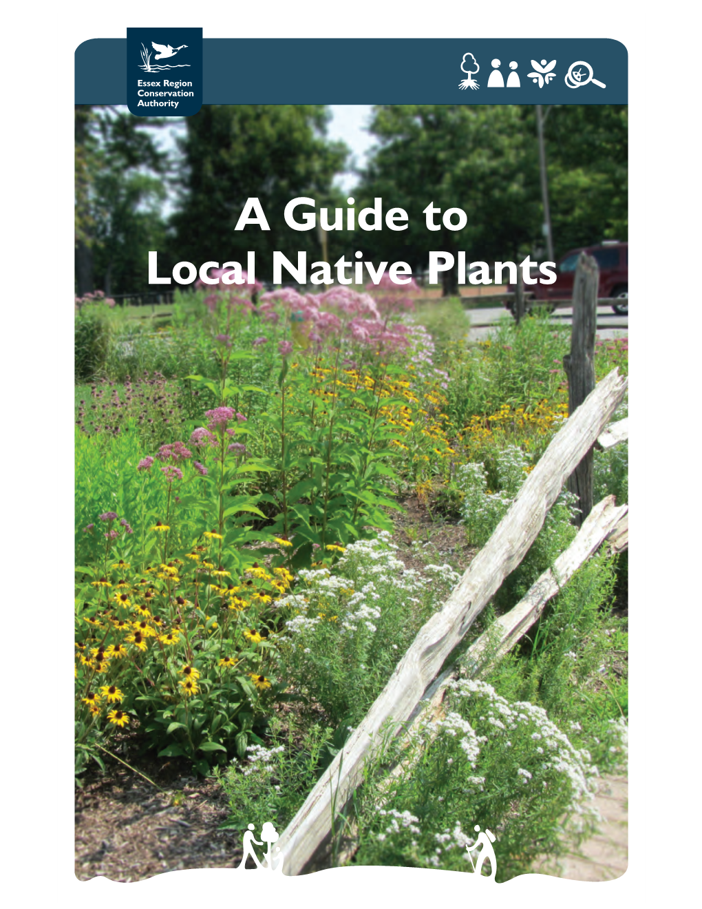 A Guide to Local Native Plants Why Are Native Plants Important?