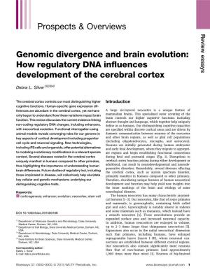 Genomic Divergence and Brain Evolution: How Regulatory DNA Inﬂuences Development of the Cerebral Cortex