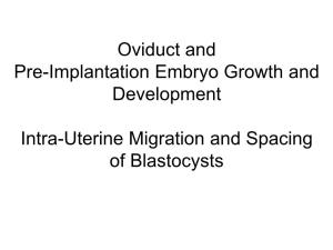 Oviduct and Pre-Implantation Embryo Growth and Development Intra