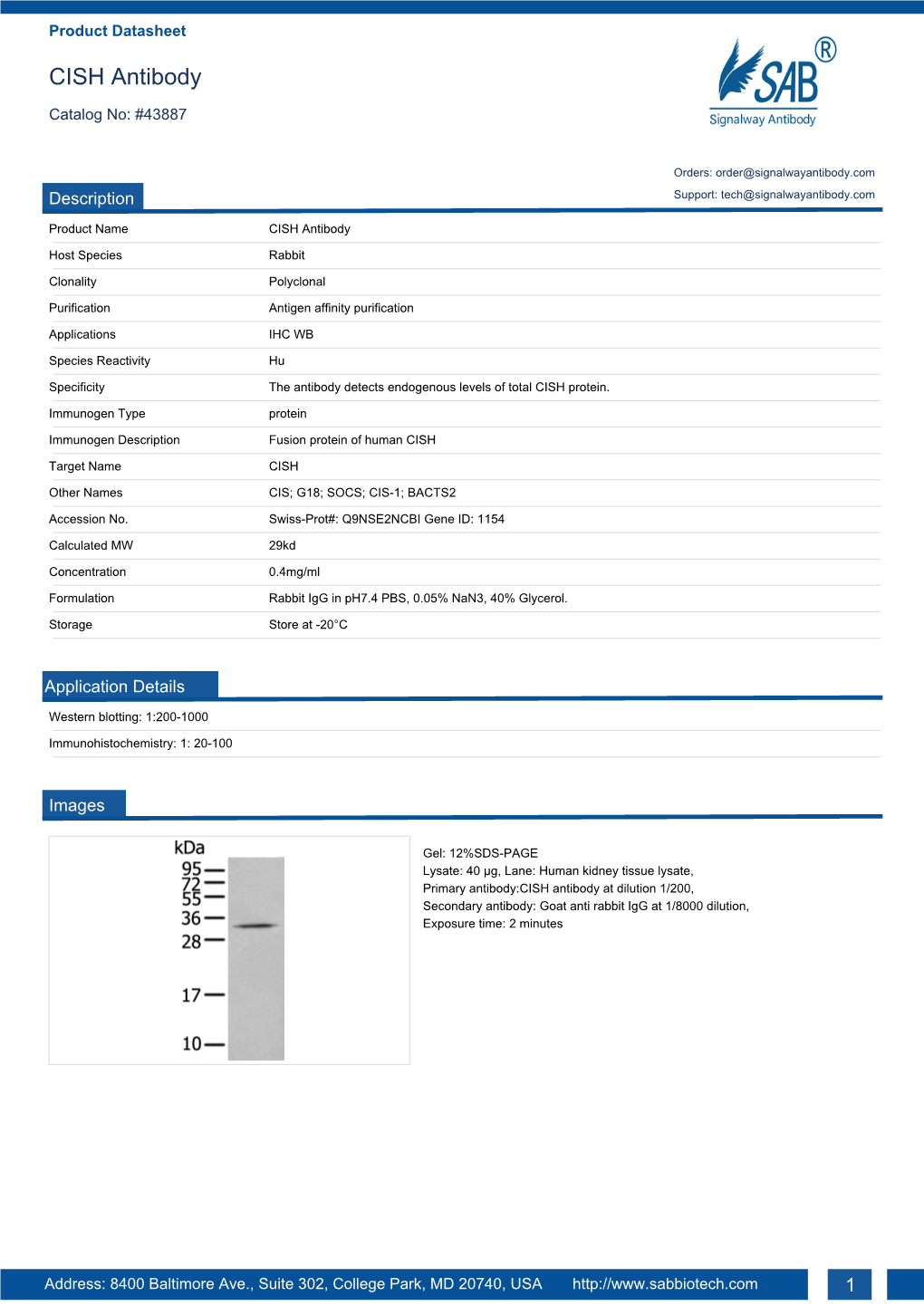 CISH Antibody