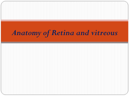 Anatomy of Retina and Vitreous