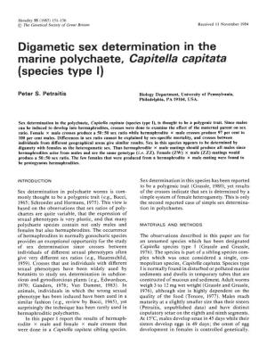 Digametic Sex Determination in the Marine Polychaete, Capitella Capitata (Species Type I)